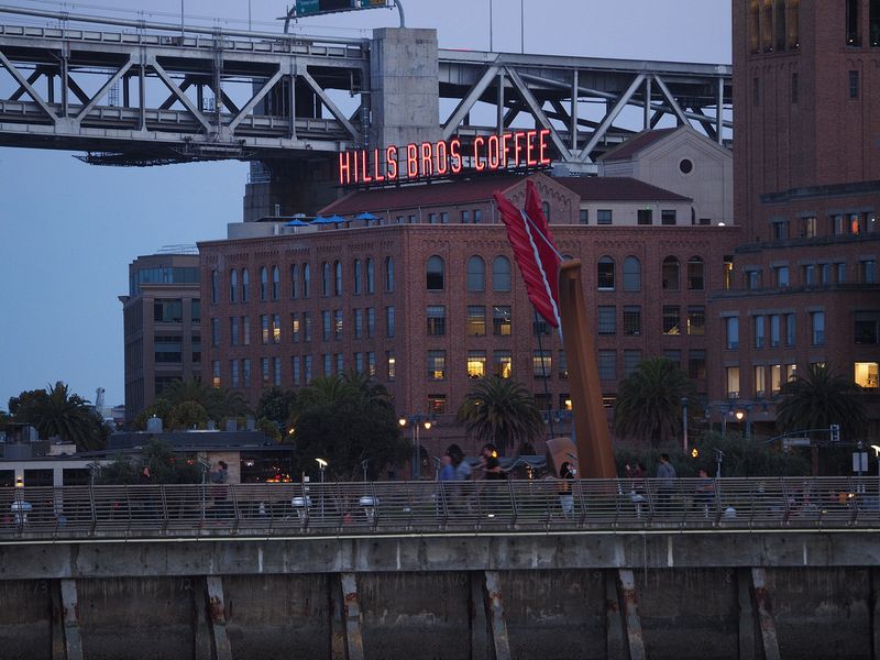 Hills Bros Coffee with Cupid's Span in the foreground
